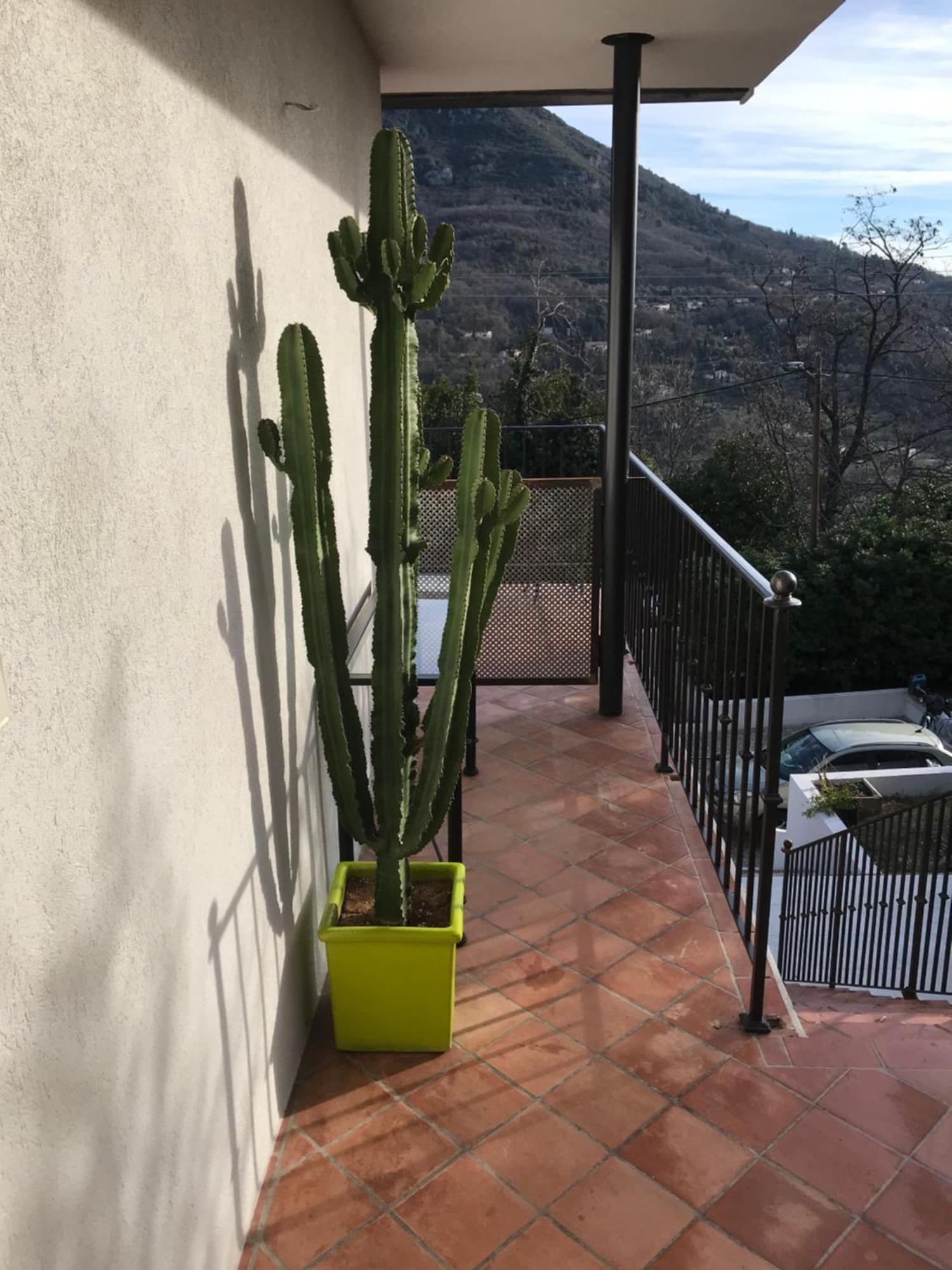 Haut De Villa Avec Vue - Le Bar Sur Loup 06 Zewnętrze zdjęcie