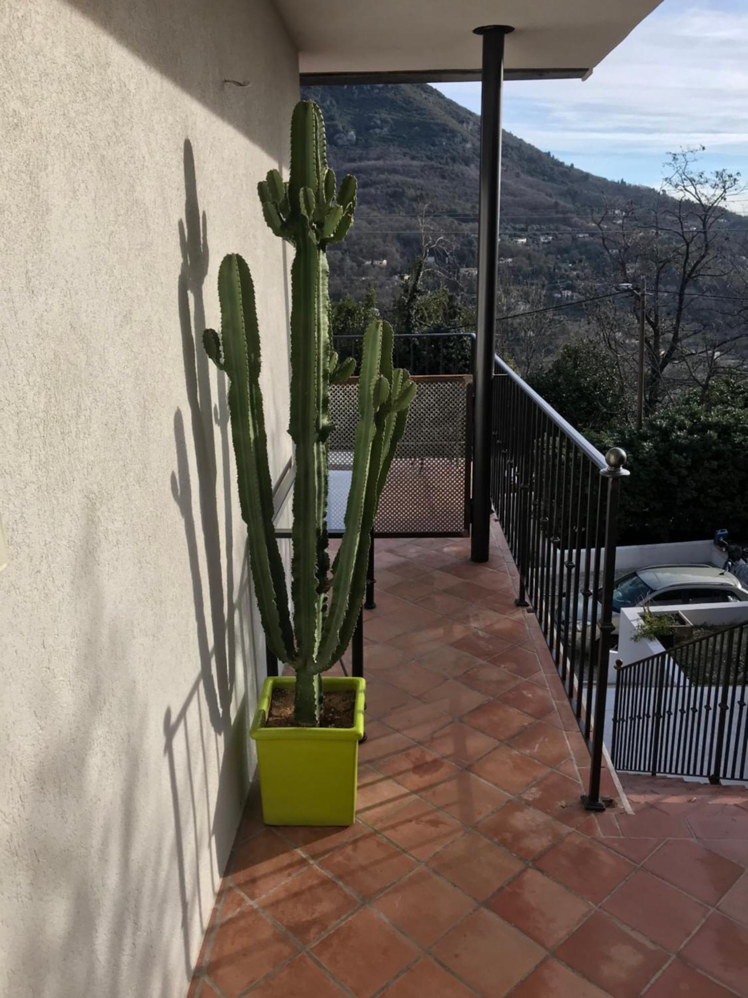 Haut De Villa Avec Vue - Le Bar Sur Loup 06 Zewnętrze zdjęcie